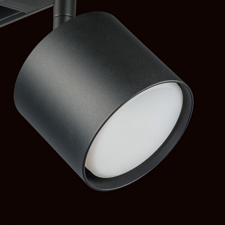 Светильник на штанге lightstar rullo pro3487