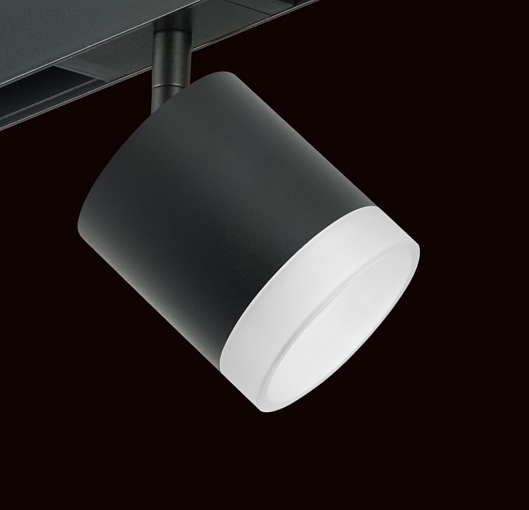 Светильник на штанге lightstar rullo pro348780
