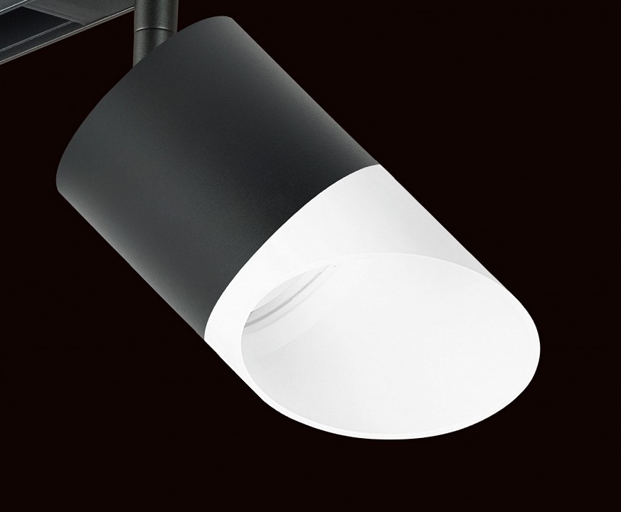 Светильник на штанге lightstar rullo pro348786