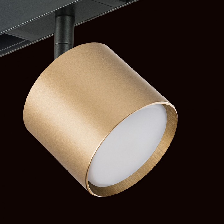 Светильник на штанге lightstar rullo pro3490