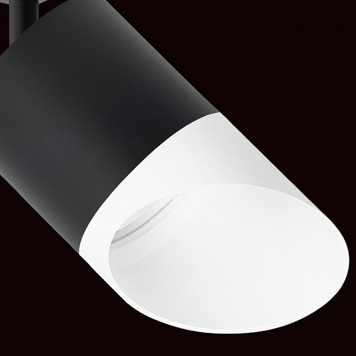 Светильник на штанге lightstar rullo r1t348786