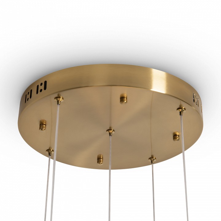 Подвесная люстра freya flower fr5579pl-l40bs