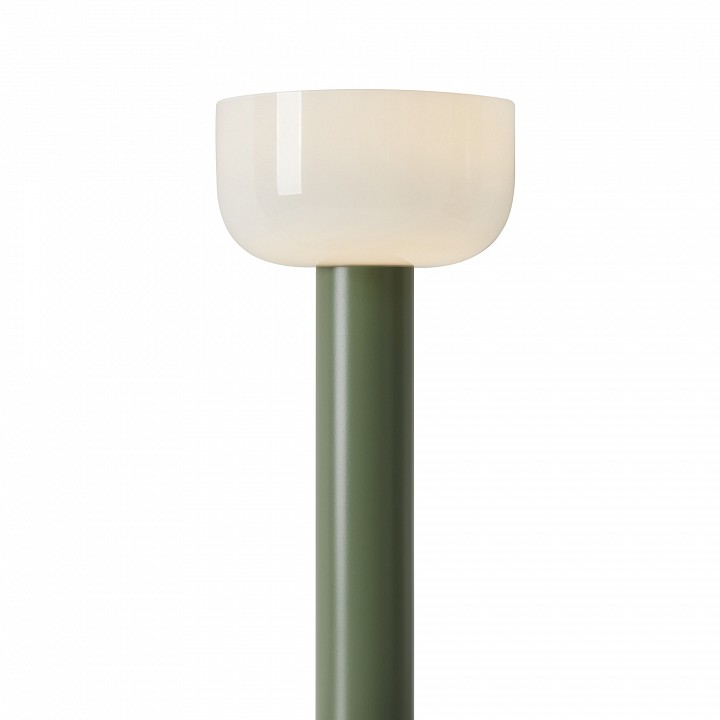 Настольная лампа декоративная freya barries fr6185tl-l5gn