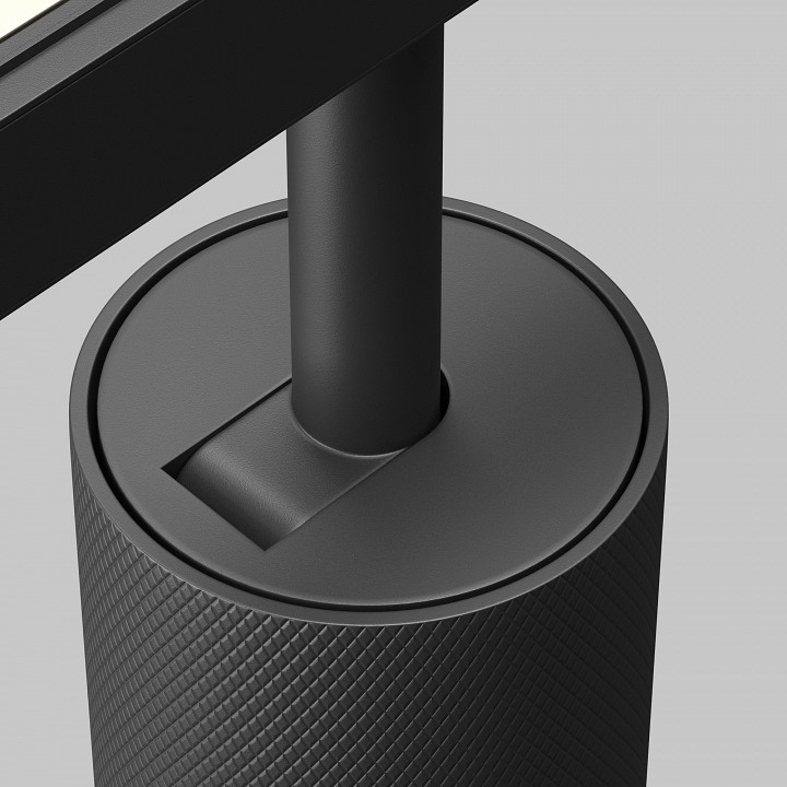 Светильник на штанге maytoni technical artisan tr097-2-12w3k-m-bb