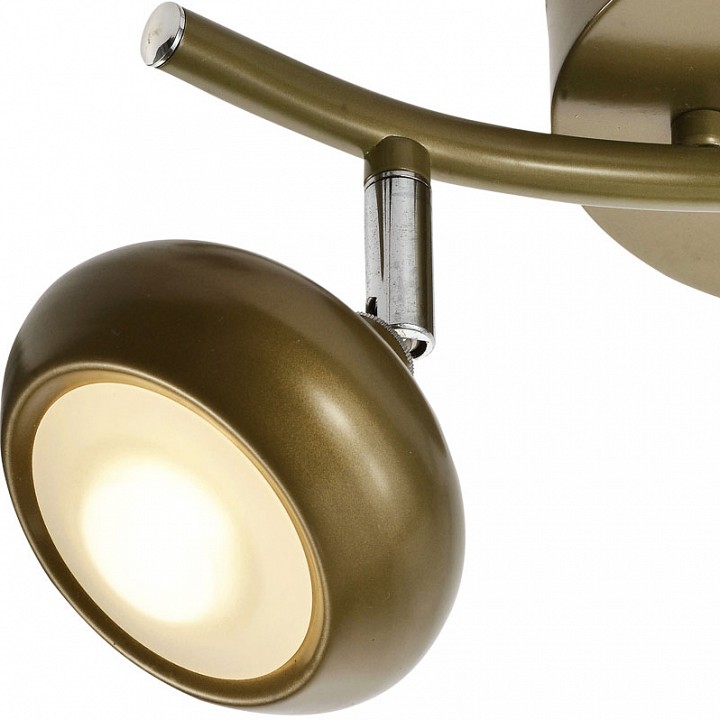 Спот toplight carissa tl1244y-02sg