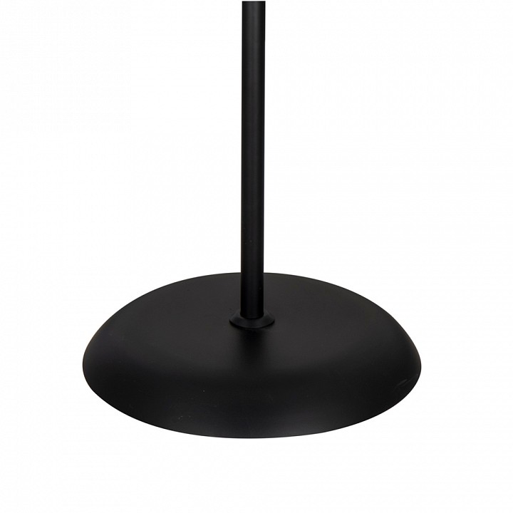 Торшер с подсветкой arte lamp duetto a9569pn-2bk