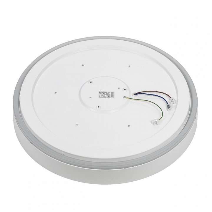 Накладной светильник citilux boss cl751450g
