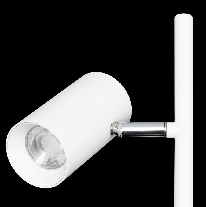 Торшер citilux twin cl809010n