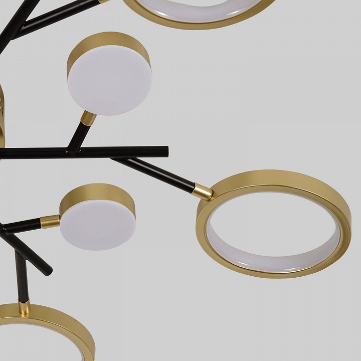 Потолочная люстра f-promo hybrid 4686-13c