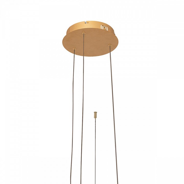 Подвесной светильник loft it ring 10017/3s