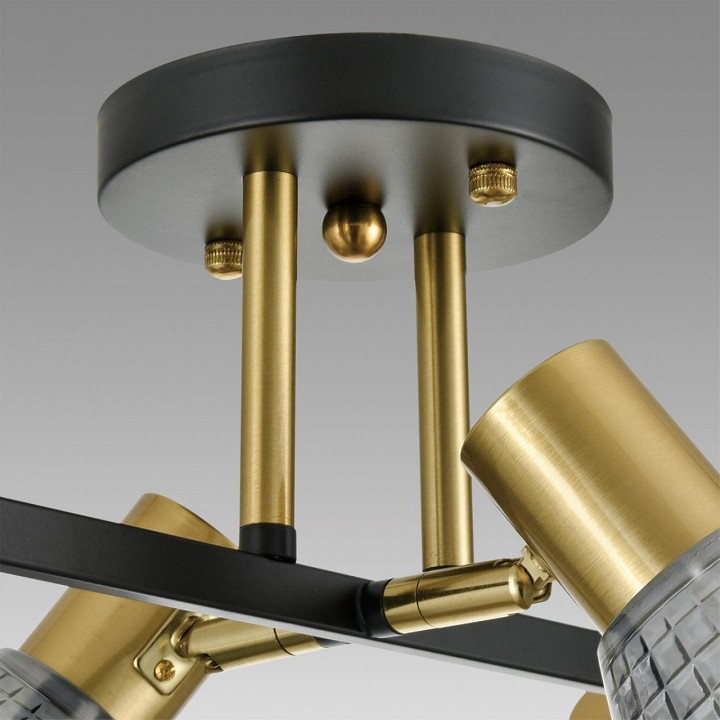 Люстра на штанге lumion anriya 8044/6c