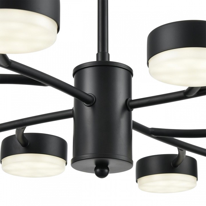 Люстра на штанге lumion torina 8117/12