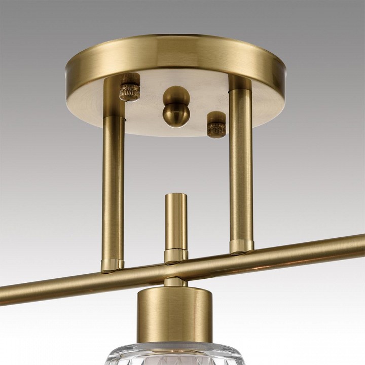 Светильник на штанге lumion vivian 8188/3c