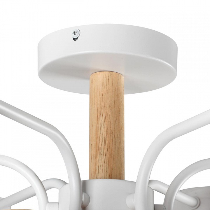 Люстра на штанге lumion rondo 8231/6c