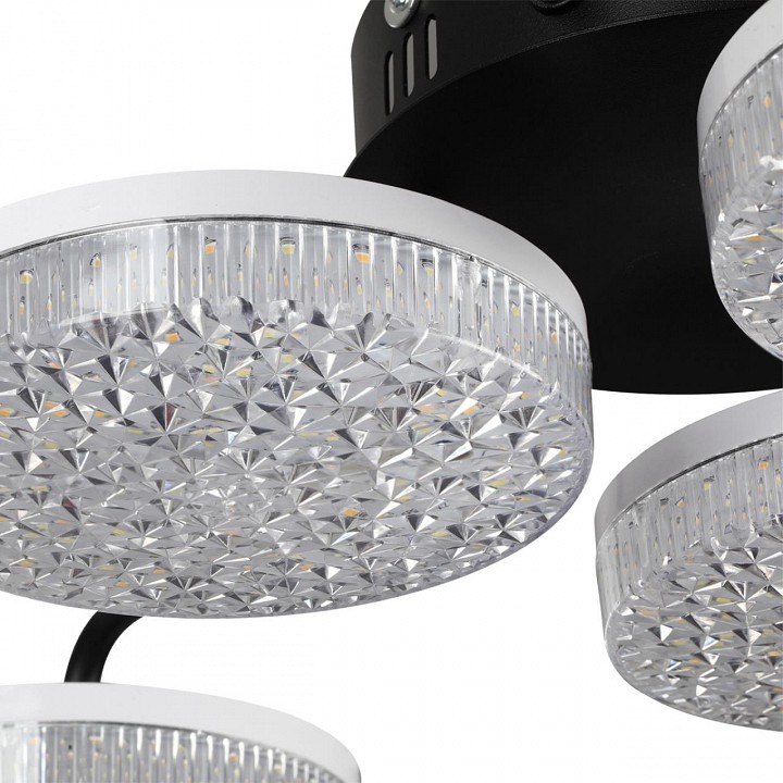 Потолочная люстра lumion didana 8236/6cl