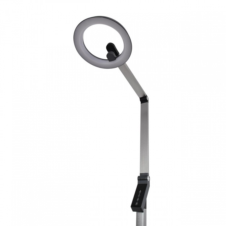 Торшер lumion genri 8332/15fl