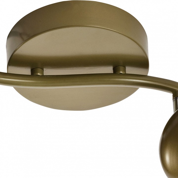 Спот toplight carissa tl1244y-02sg