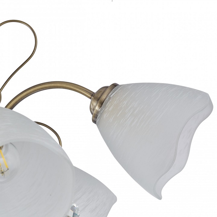 Подвесная люстра arte milano amalfi-2656 335656/5 ab