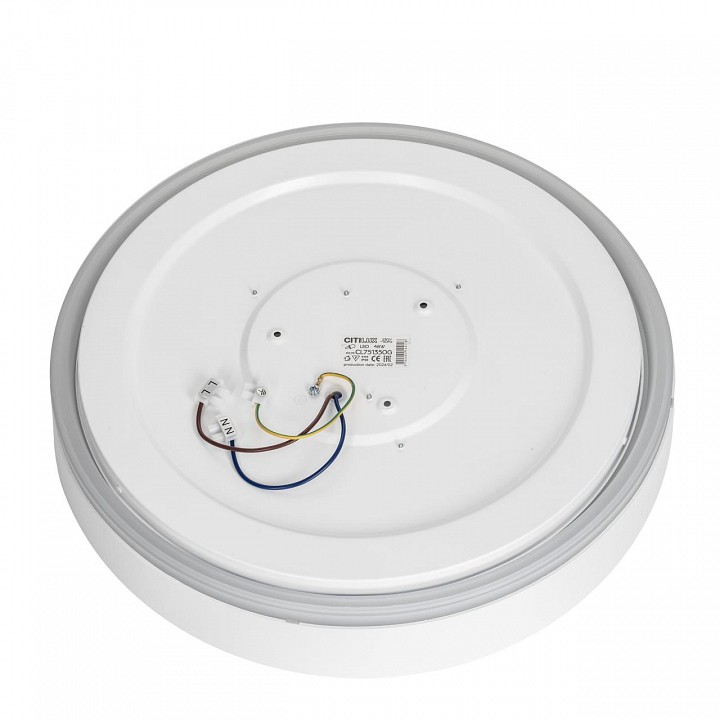 Накладной светильник citilux boss cl751350g