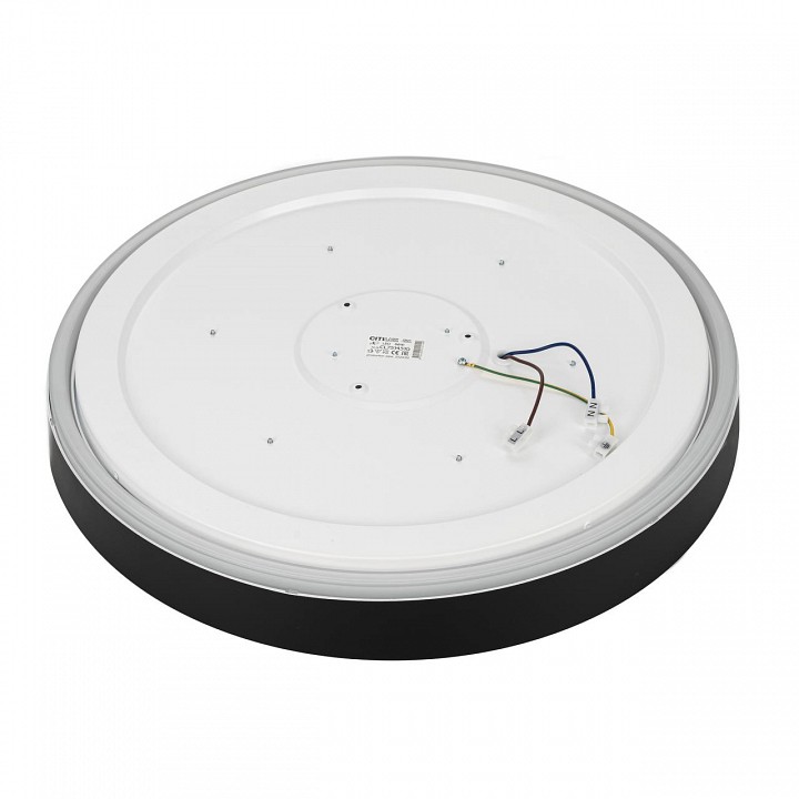 Накладной светильник citilux boss cl751451g