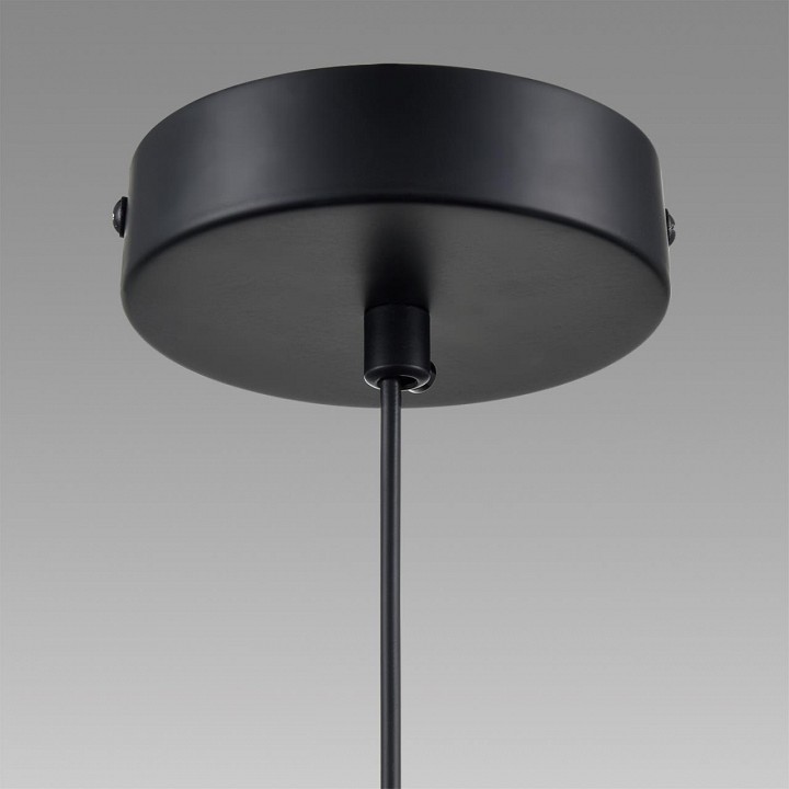 Подвесной светильник lumion isha 8101/1a