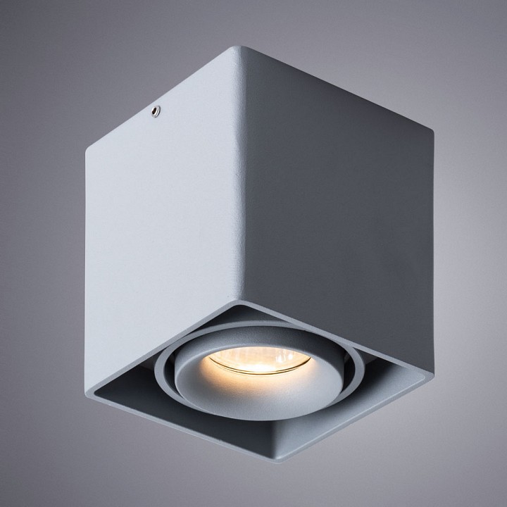 Накладной светильник arte lamp pictor a5654pl-1gy