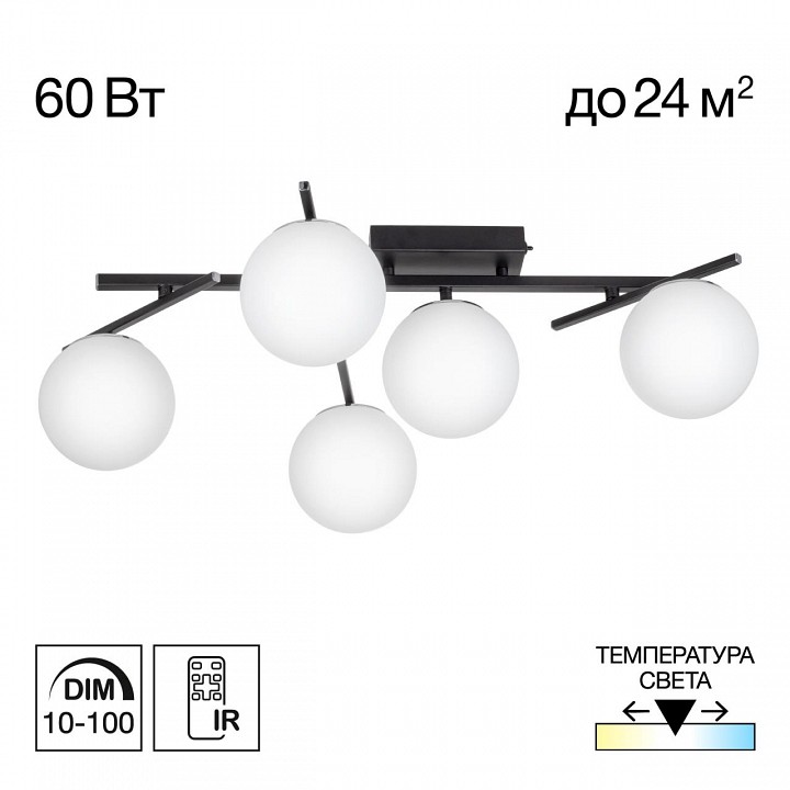 Потолочная люстра citilux dorsy cl223152