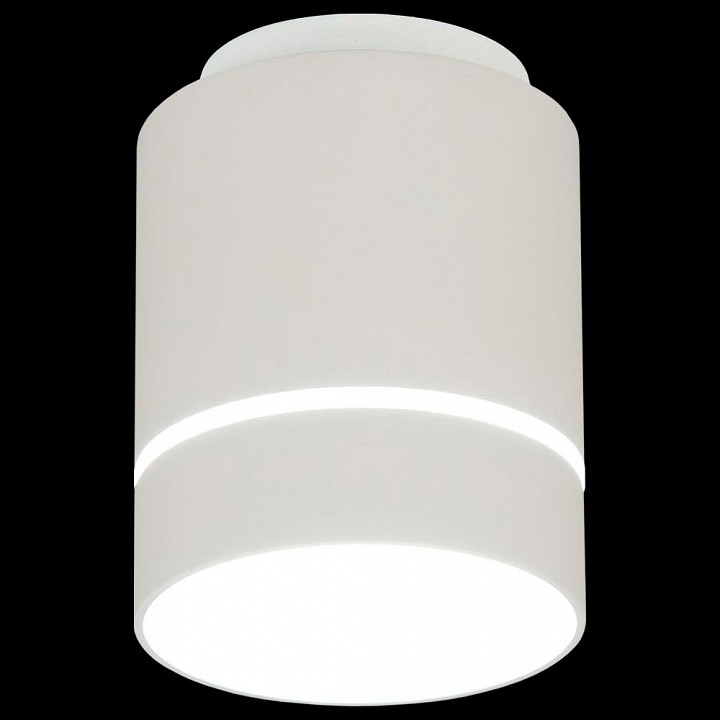 Накладной светильник citilux борн cl745010n