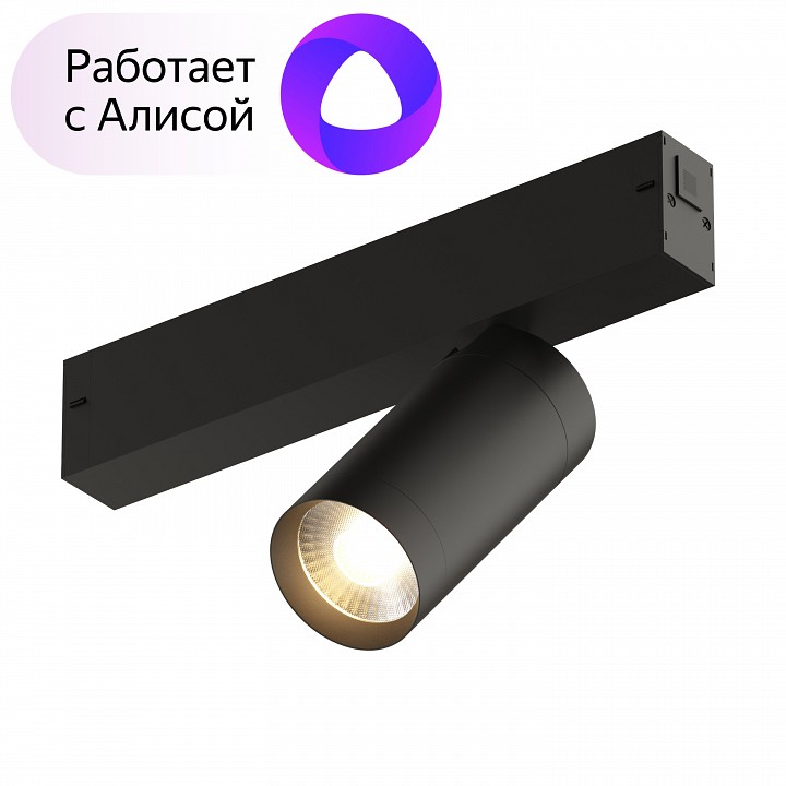 Светильник на штанге denkirs smart dk8010-bk