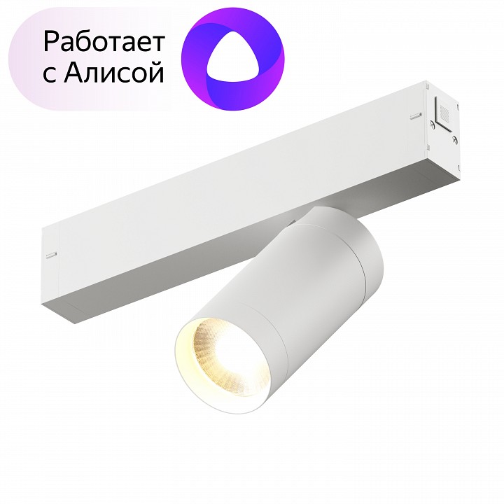Светильник на штанге denkirs smart dk8010-wh