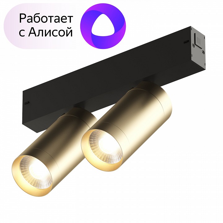 Светильник на штанге denkirs smart dk8012-bg