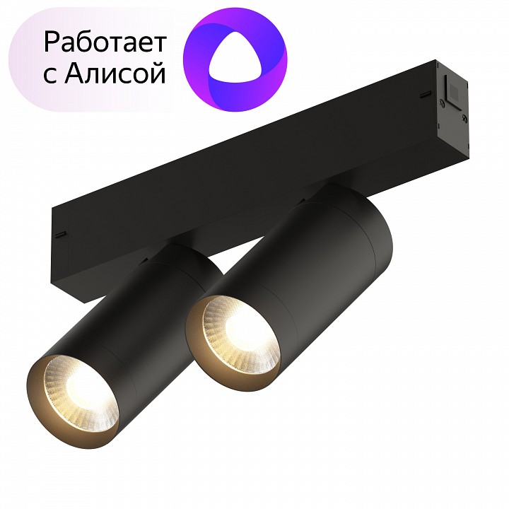 Светильник на штанге denkirs smart dk8012-bk