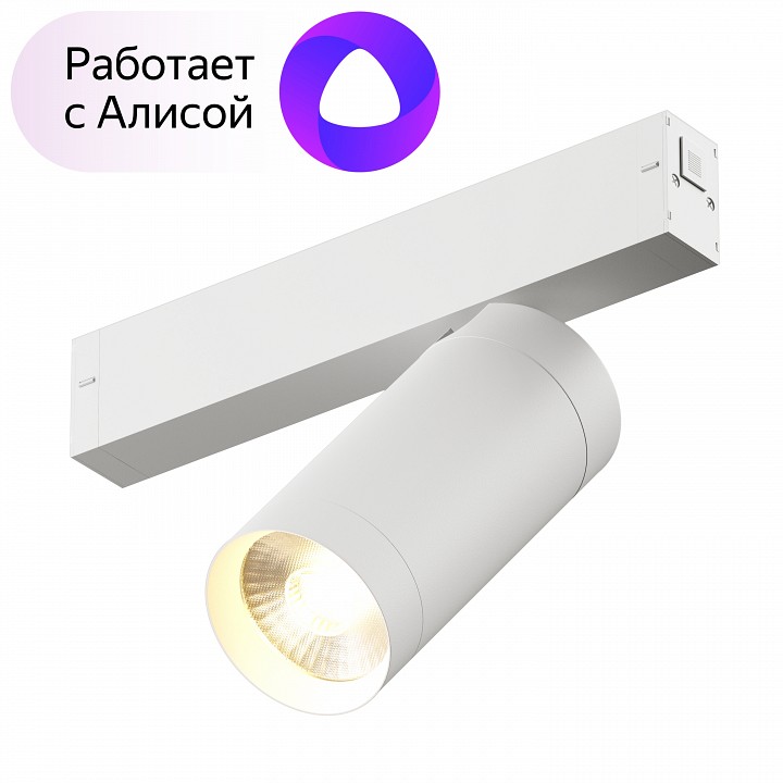 Светильник на штанге denkirs smart dk8020-wh