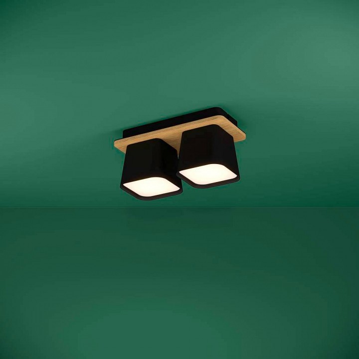 Накладной светильник eglo ruscio 390007