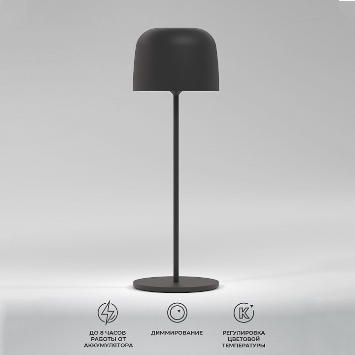 Настольная лампа декоративная elektrostandard bitty a069002