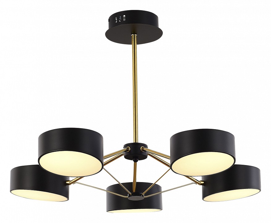 Люстра на штанге evoluce valle sle6005-402-05