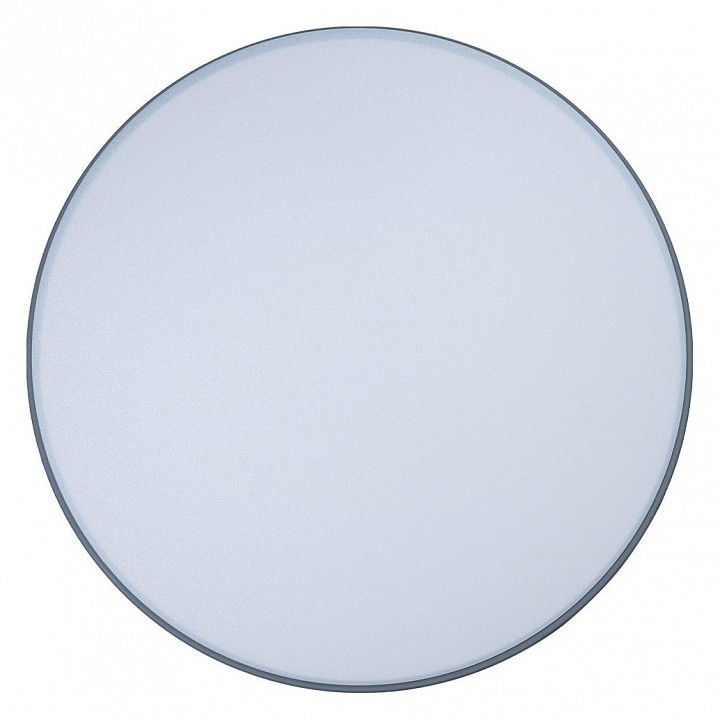 Накладной светильник loft it axel 10001/36 grey