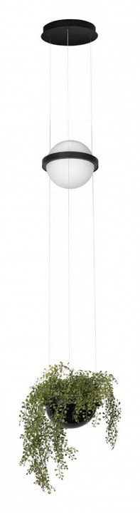 Подвесной светильник loft it jardin 10121/b