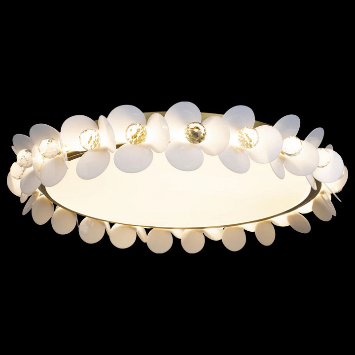 Накладной светильник loft it bride 10176