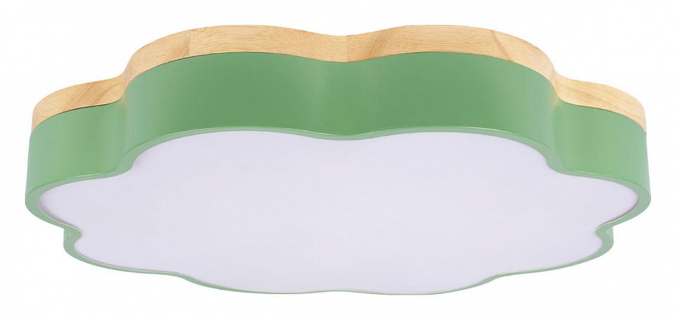 Накладной светильник loft it axel 10225/36 green