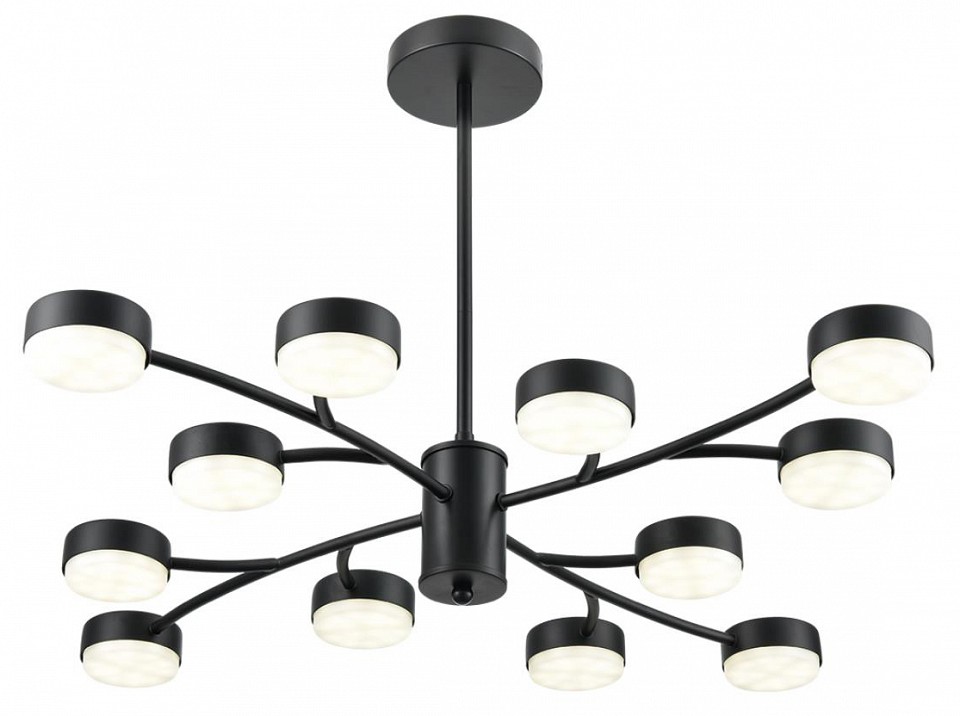 Люстра на штанге lumion torina 8117/12