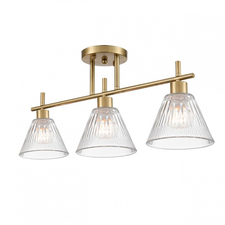 Светильник на штанге lumion vivian 8188/3c