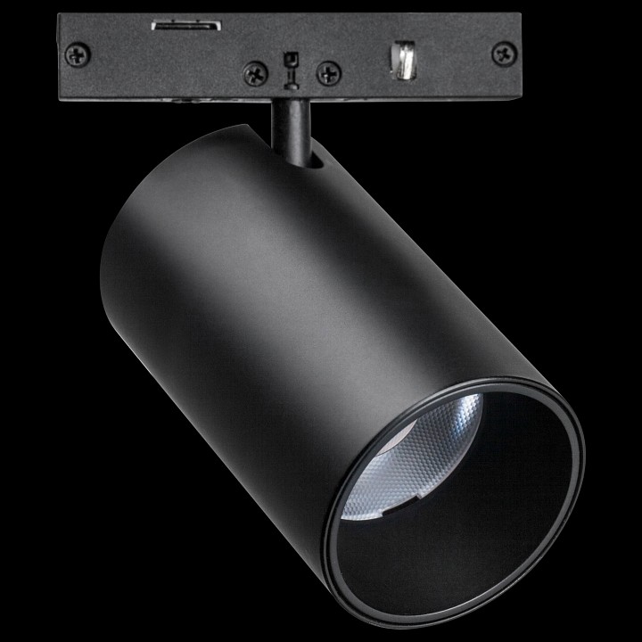 Светильник на штанге lightstar linea 206247
