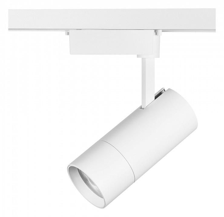 Светильник на штанге lightstar volta 229346