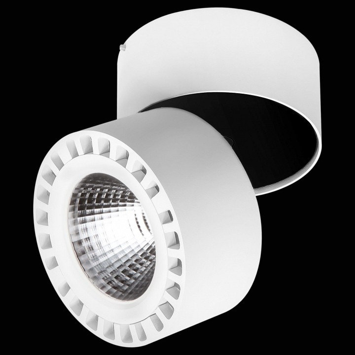 Спот lightstar forte ip65 381363