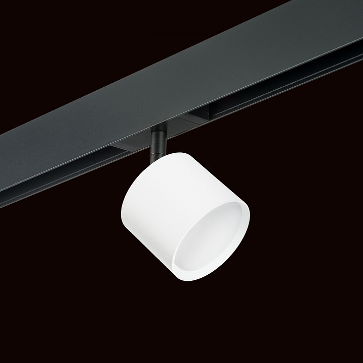 Светильник на штанге lightstar rullo pro3486