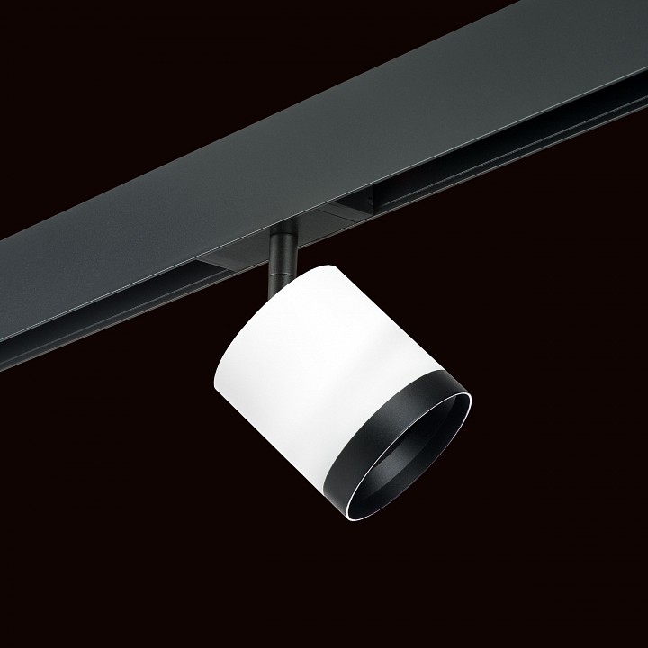 Светильник на штанге lightstar rullo pro34863487