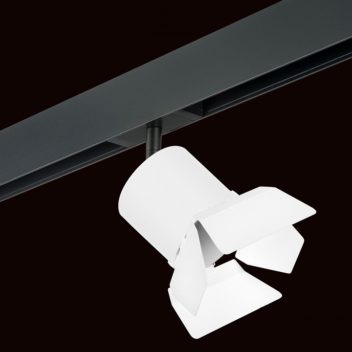 Светильник на штанге lightstar rullo pro3486486
