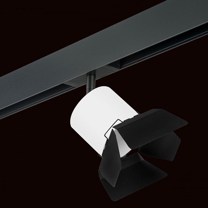 Светильник на штанге lightstar rullo pro3486487