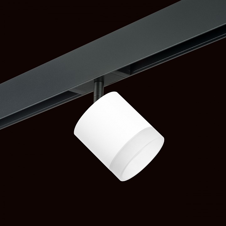 Светильник на штанге lightstar rullo pro348680